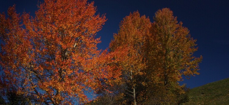 Herbst in Mallnitz