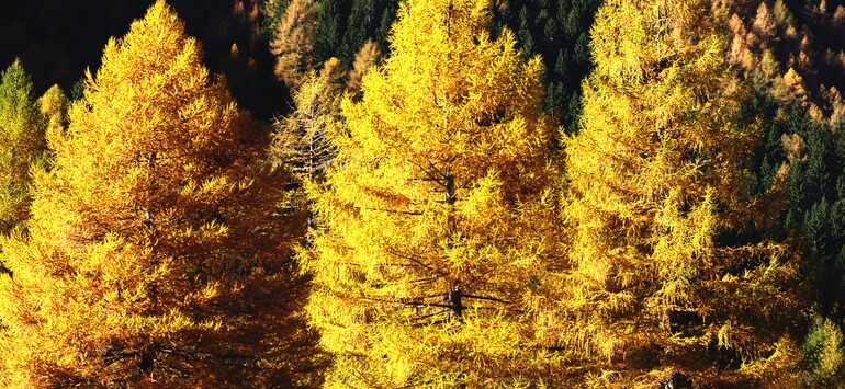 Herbst in Mallnitz