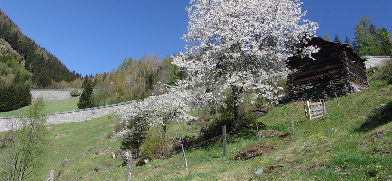 Frühling in Mallnitz